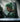 Zoro from One Piece Concept Art - Canvas Art Print | Fan Art |