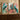 Peacock & Palace Garden Wall Art Set of 3 Frames