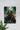 Zoro | Anime Poster | Fan Art |