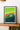 Mustang - Single Frame | Sports Cars Frames |