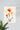 Flower Painting | Abstract Poster | Wall Art