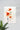 Flower Painting IV | Abstract Poster | Wall Art