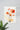 Flower Painting VII | Abstract Poster | Wall Art