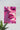 Punk | Pink Poster #9 | Wall Art