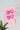 Shots! | Pink Poster #18 | Wall Art