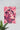 Lost | Pink Poster #32 | Wall Art