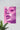 Pink Poster #34 | Wall Art